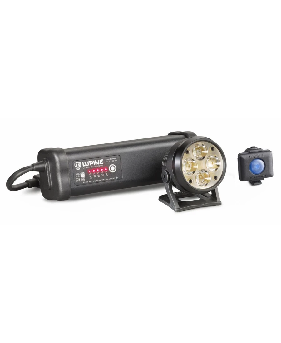 Lupine - Wilma R 14 1 Lupine - Wilma R 14