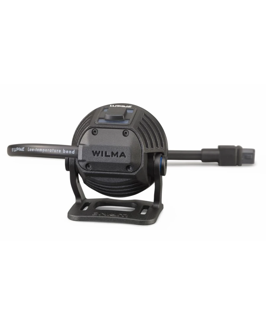 Lupine - Wilma R 14 6 Lupine - Wilma R 14 – Bild 6