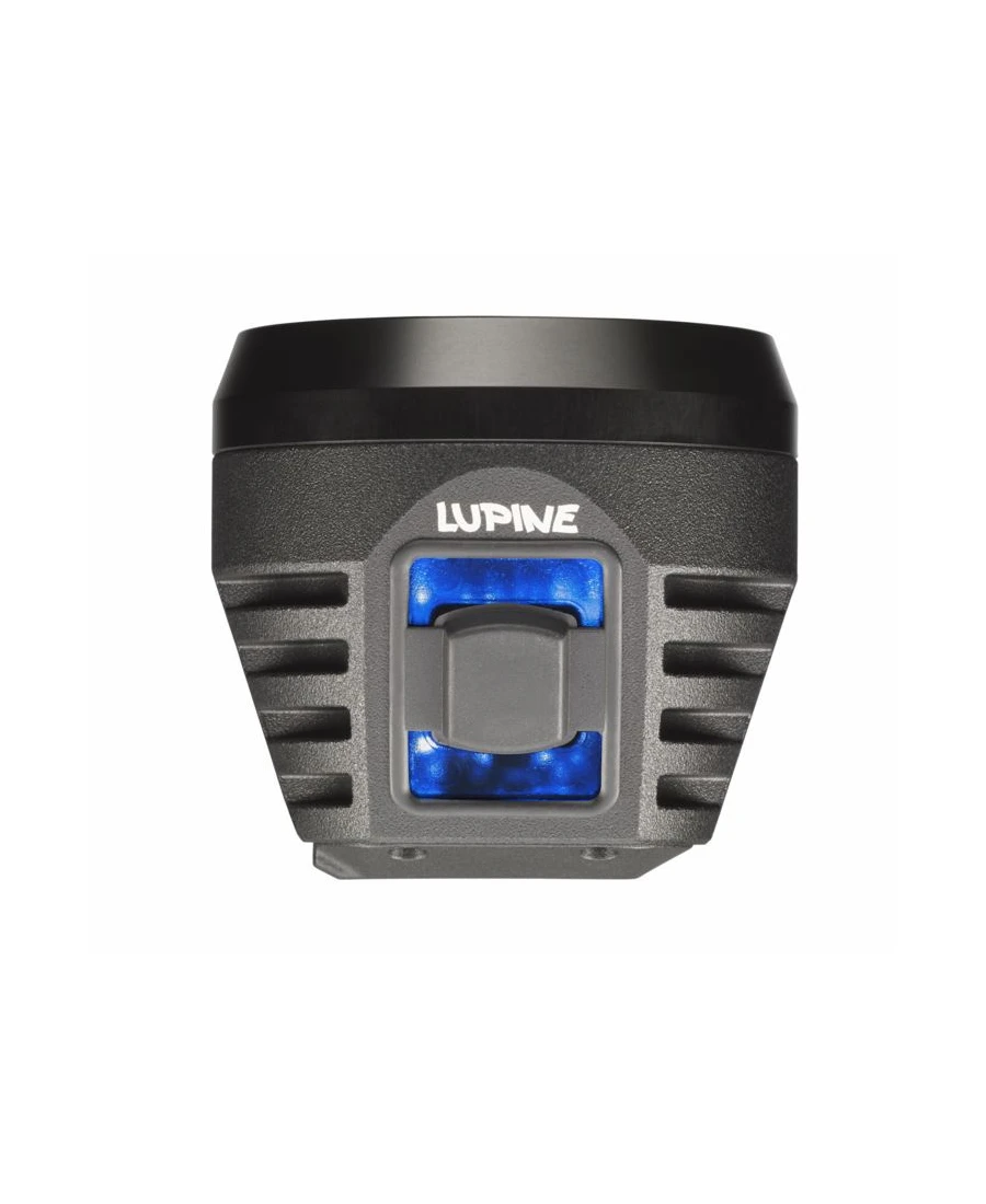 Lupine - Wilma R 14 7 Lupine - Wilma R 14 – Bild 7